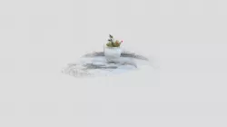 Planter