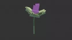 Plumbo Flower