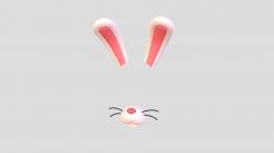 Rabbit Modface rabbit face template printable 3D Models | Page 1 | STLFinder