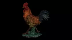 Rooster
