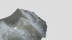 sand