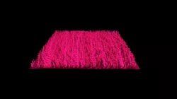 Shaggy carpet swatch test