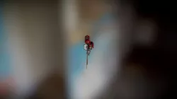 Shishkebab