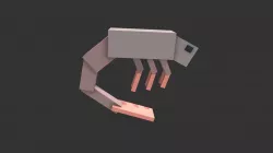 Shrimp
