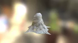 Spider Cocoon