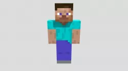 steve