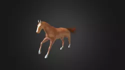 Test-Run12.c4d