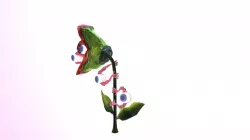 Venus Flytrap