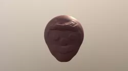 visage