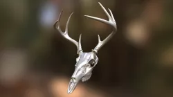 Whitetail Deer Skull .STL File