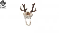 9090 Caribou
