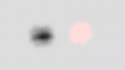 alpha test