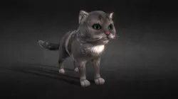 Animated cat