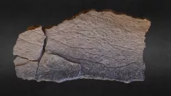 Archaic Petroglyph Panel
