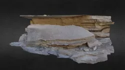 Archaic Petroglyph Panel