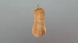 Calabaza Color