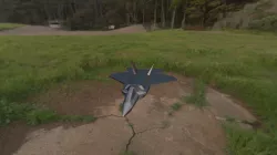 F22 Raptor