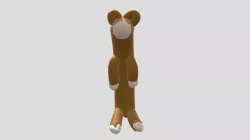 Ferret