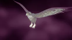 HALCON