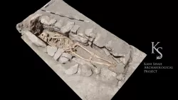 Islamic Burial
