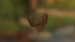 Iti