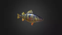 Low-poly Perch