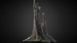 Photo-scanned Realistic Cracked Tree Trunk