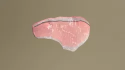 Raw steak