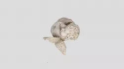 Statuetka -3d reconstruction