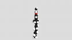 THC MOLECULE