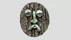 Tree face