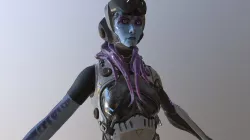 Vela