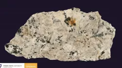 WSU Sample P-1