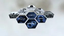 3D Cells 15