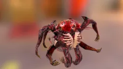 Acervus