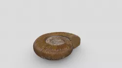 Anomite