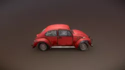 Beetle 1967