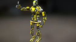 Biped Robot