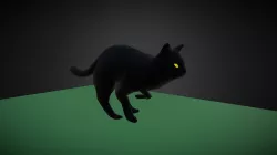 Black Cat Running
