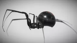 Black widow 3d model