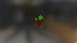 Bonsai