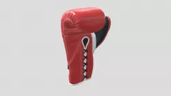 Boxing Glove