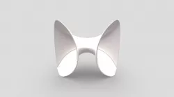 Enneper's Surface