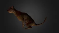 GATO
