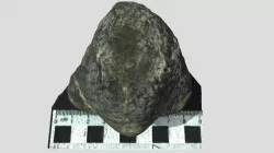 Gigantoproductus moderatoconvexus boreus