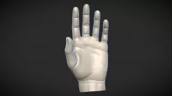 Hand Study