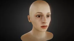 Head Bust