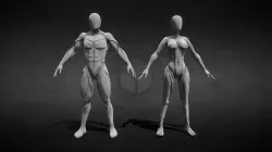 Human Anatomy Sculpt