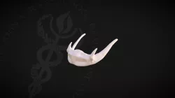 Hyoid Bone