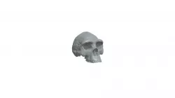 Lab 9 Exercise E - Mystery Specimen
